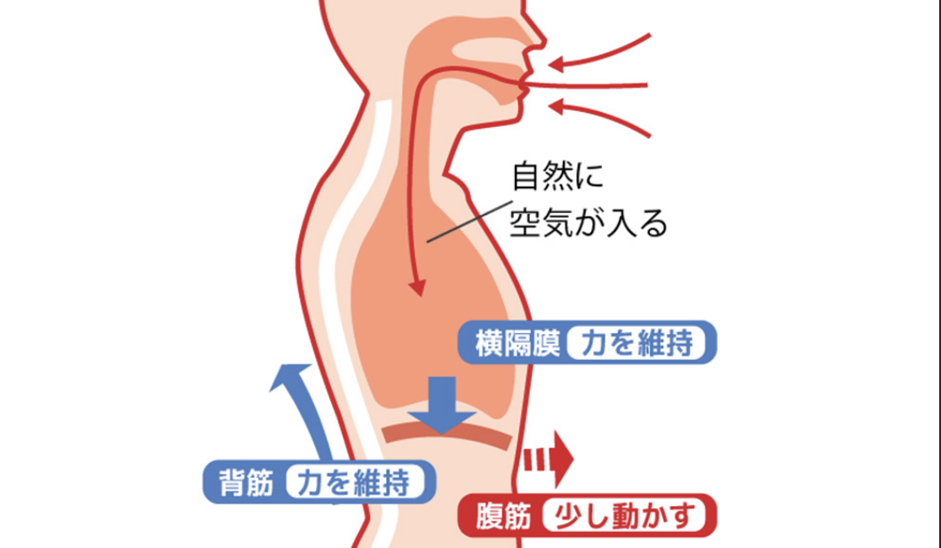 息継ぎ（ブレス）は歌唱の一部です❗️