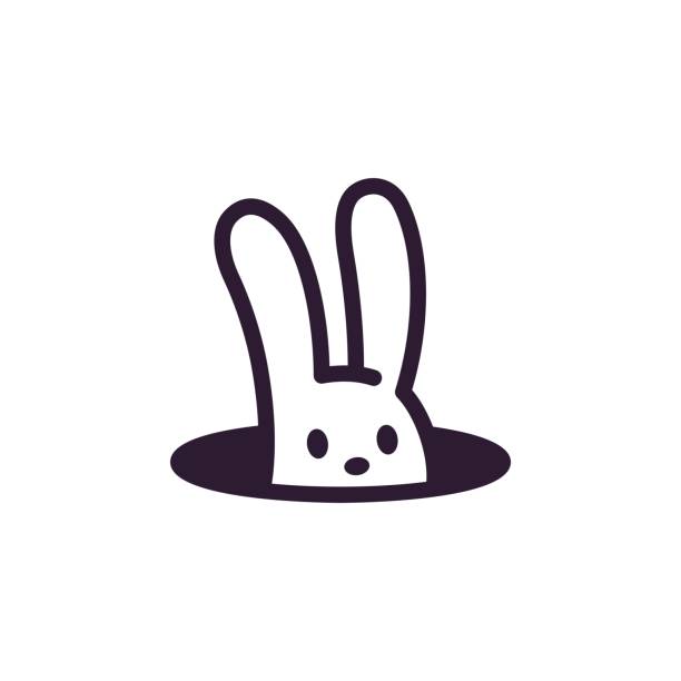 明けましておめでとうございます🐰