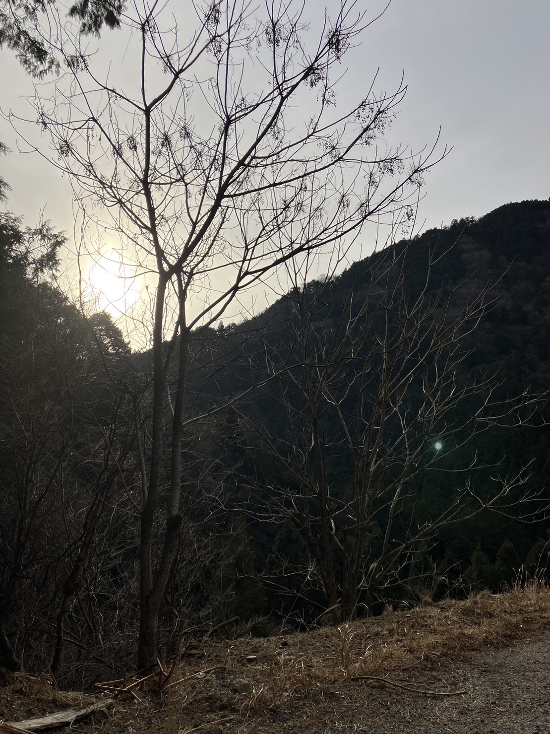 あるものを取りに