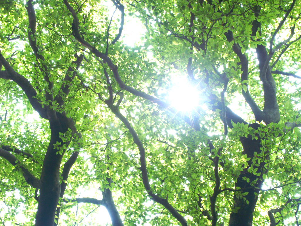 5月🌿