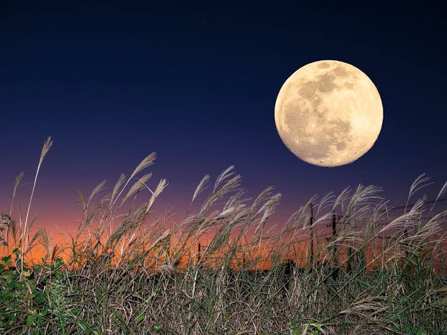 中秋の名月🌙