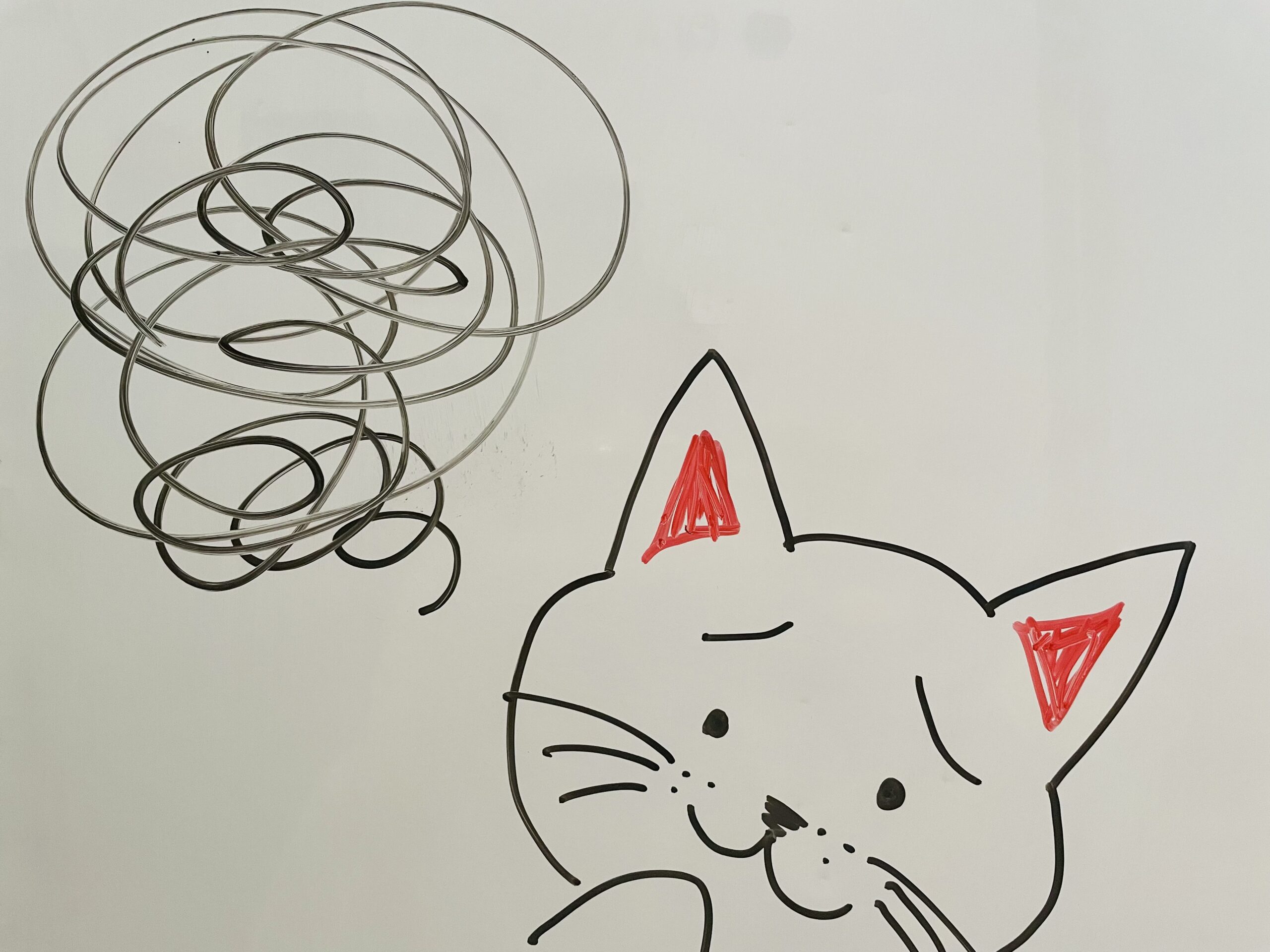 ボイトレ教室ってどうやって選べばいいの？