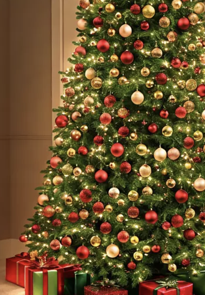 NAYUTAS本山校ブログ〜クリスマスソング名曲紹介🎄🤶〜