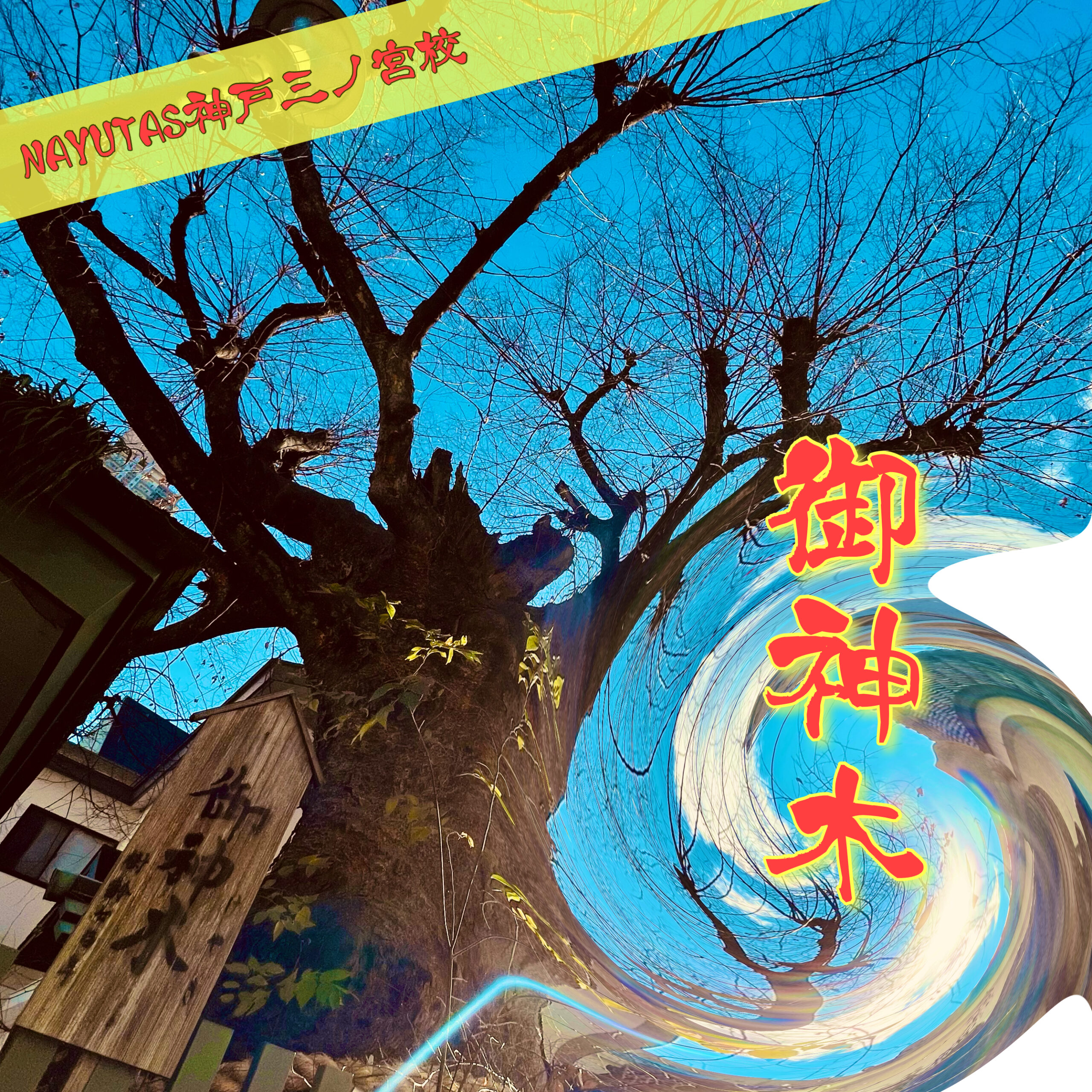 二宮神社の『ご神木』NAYUTAS神戸三ノ宮校