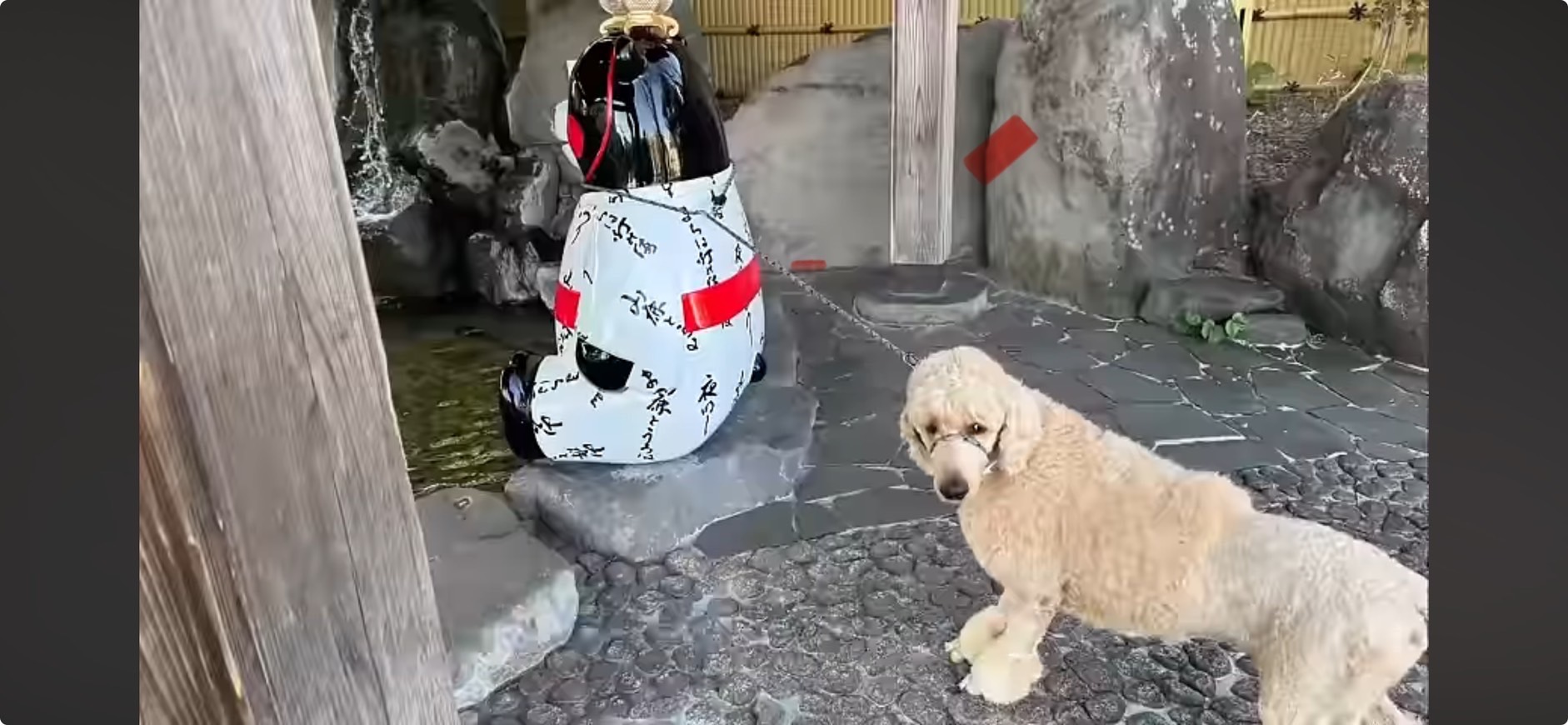 YouTube観ますか？