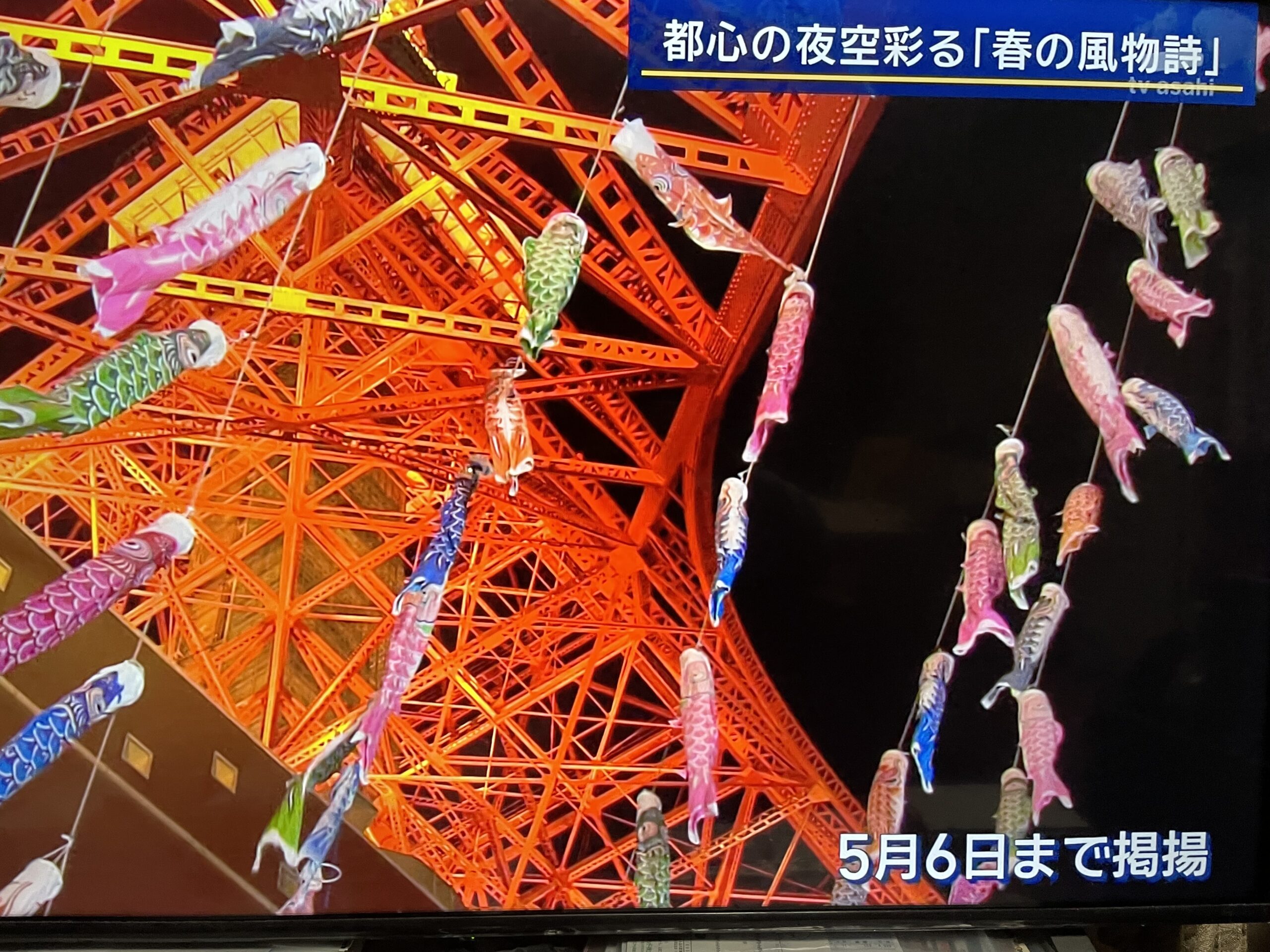 見事！東京タワーの鯉のぼり