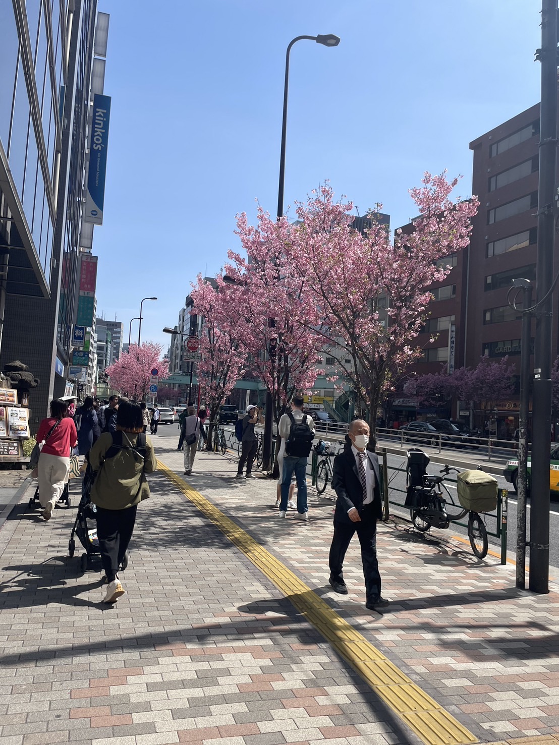河津桜🌸part4