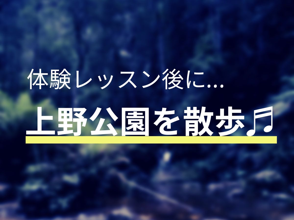 体験レッスンの後に上野公園を散歩してみてはいかがでしょうか？｜NAYUTAS上野校　