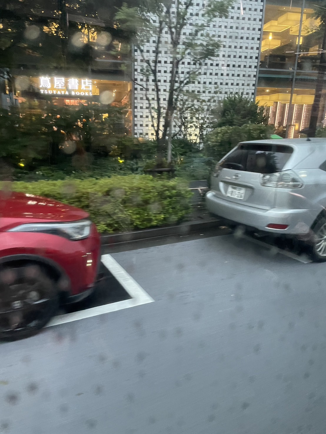 雨だって楽しみは自分次第