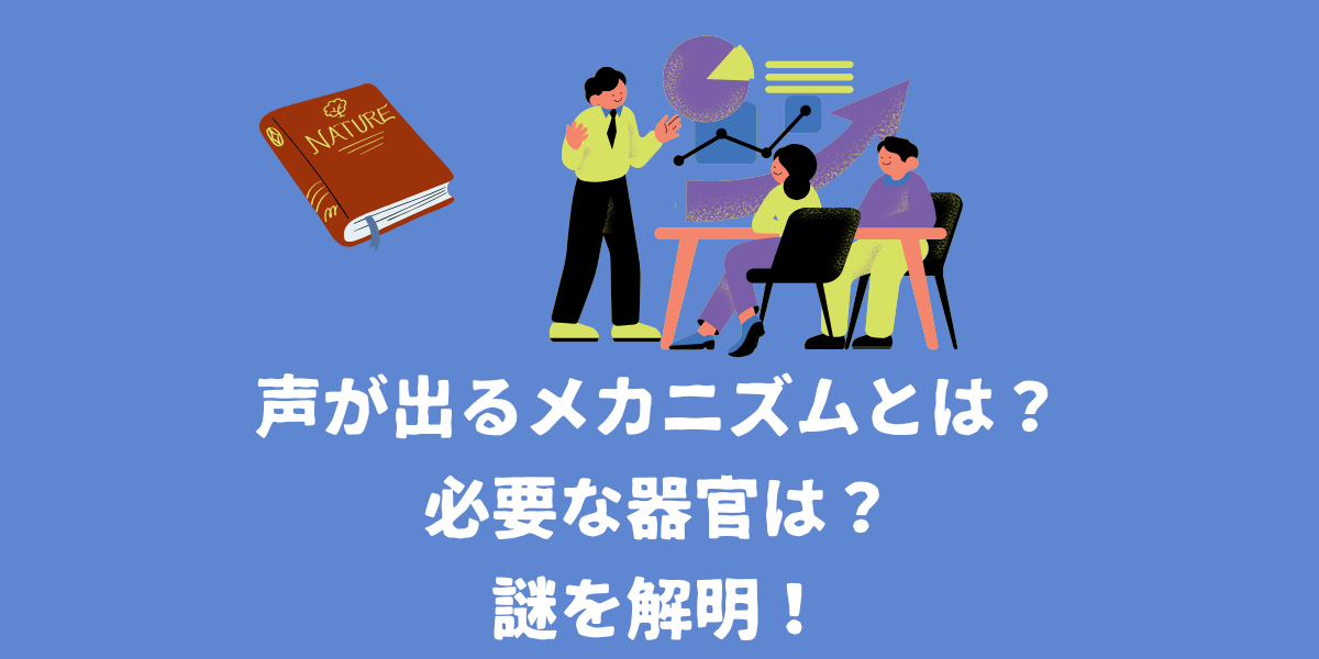 声が出るメカニズムとは？必要な器官は？謎を解消！【仙台ボイトレ】NAYUTAS（ナユタス）仙台駅前校