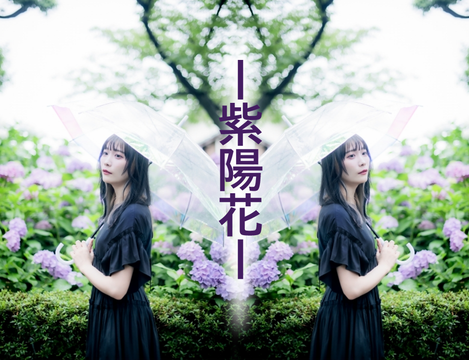 【NAYUTAS川崎校】紫陽花について💜💙🩷💚🤍