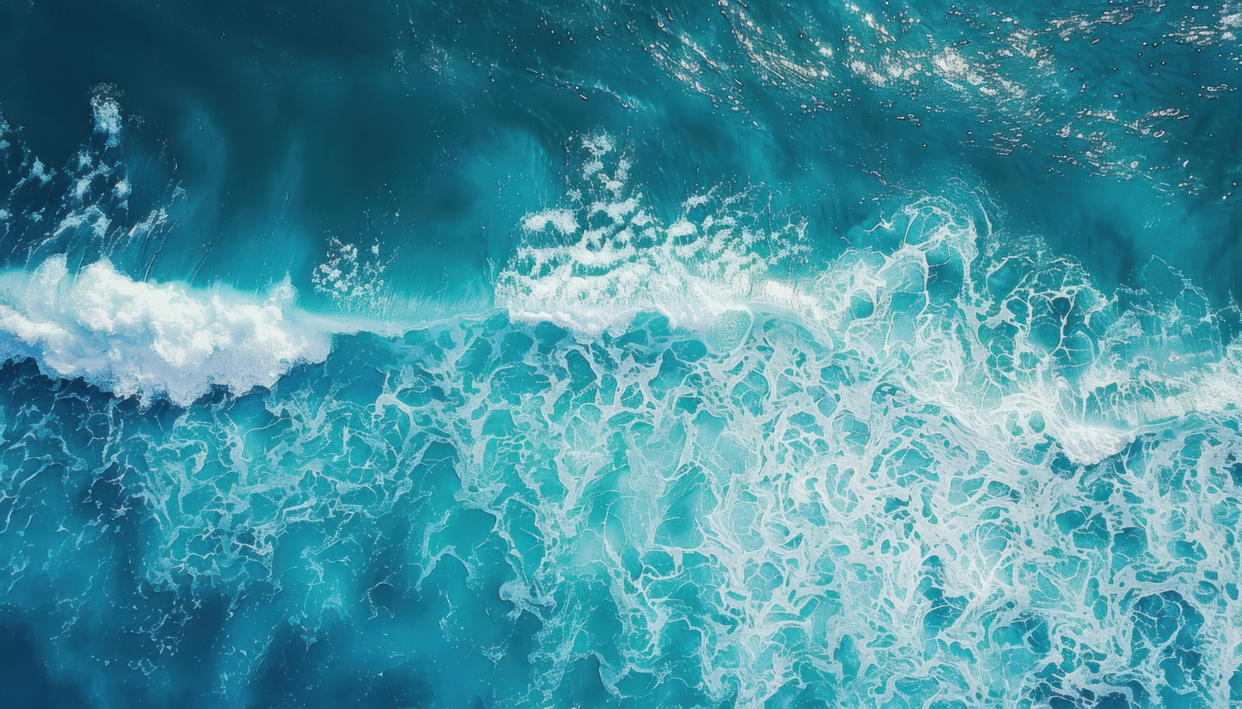 【NAYUTAS 二子玉川校】サザンオールスターズ『TSUNAMI』歌詞考察  ――愛と喪失の波に揺れる、永遠の名曲――