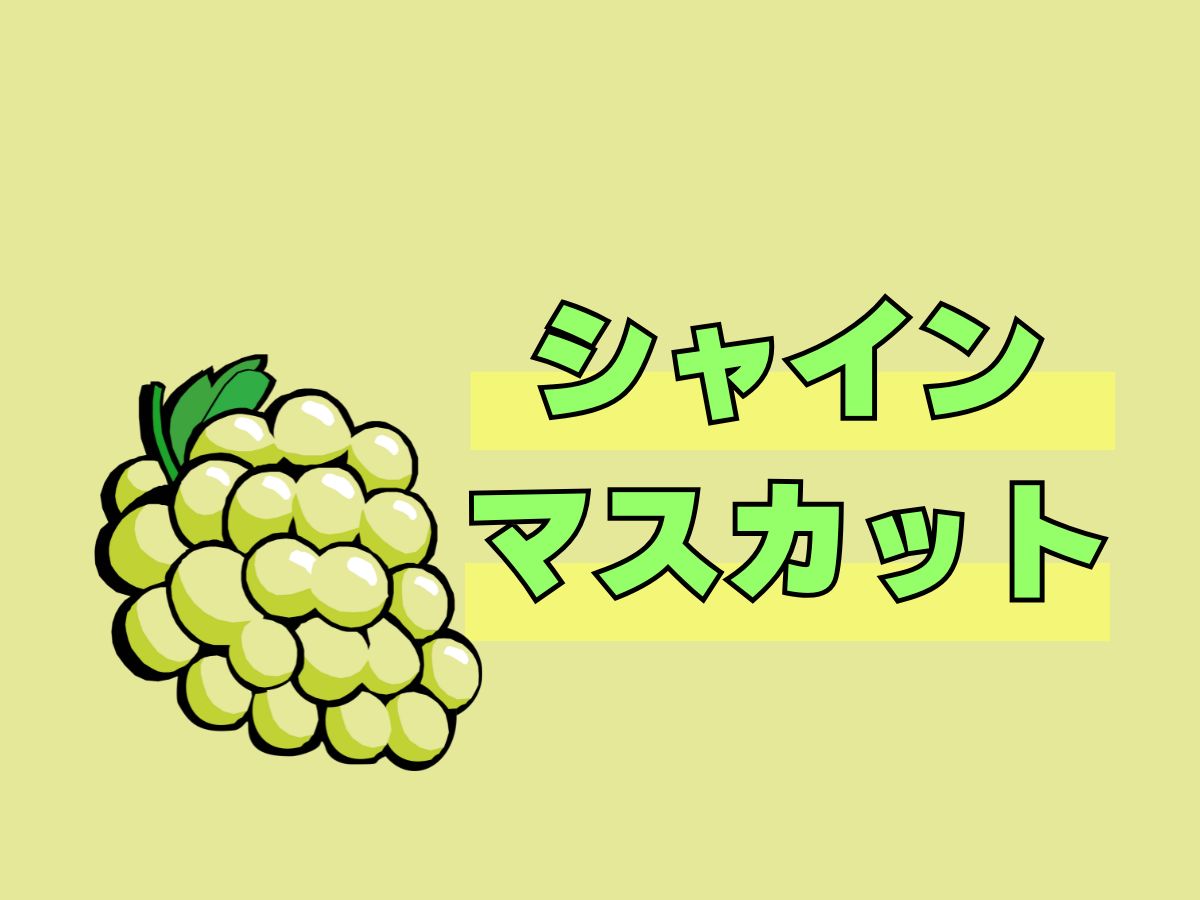 シャインマスカット｜NAYUTAS上野校　