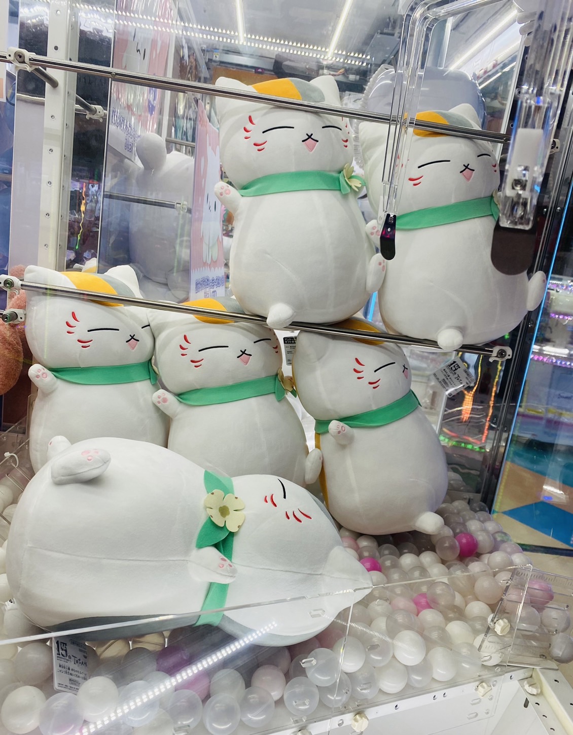 続けましてLilyで〰️す♪