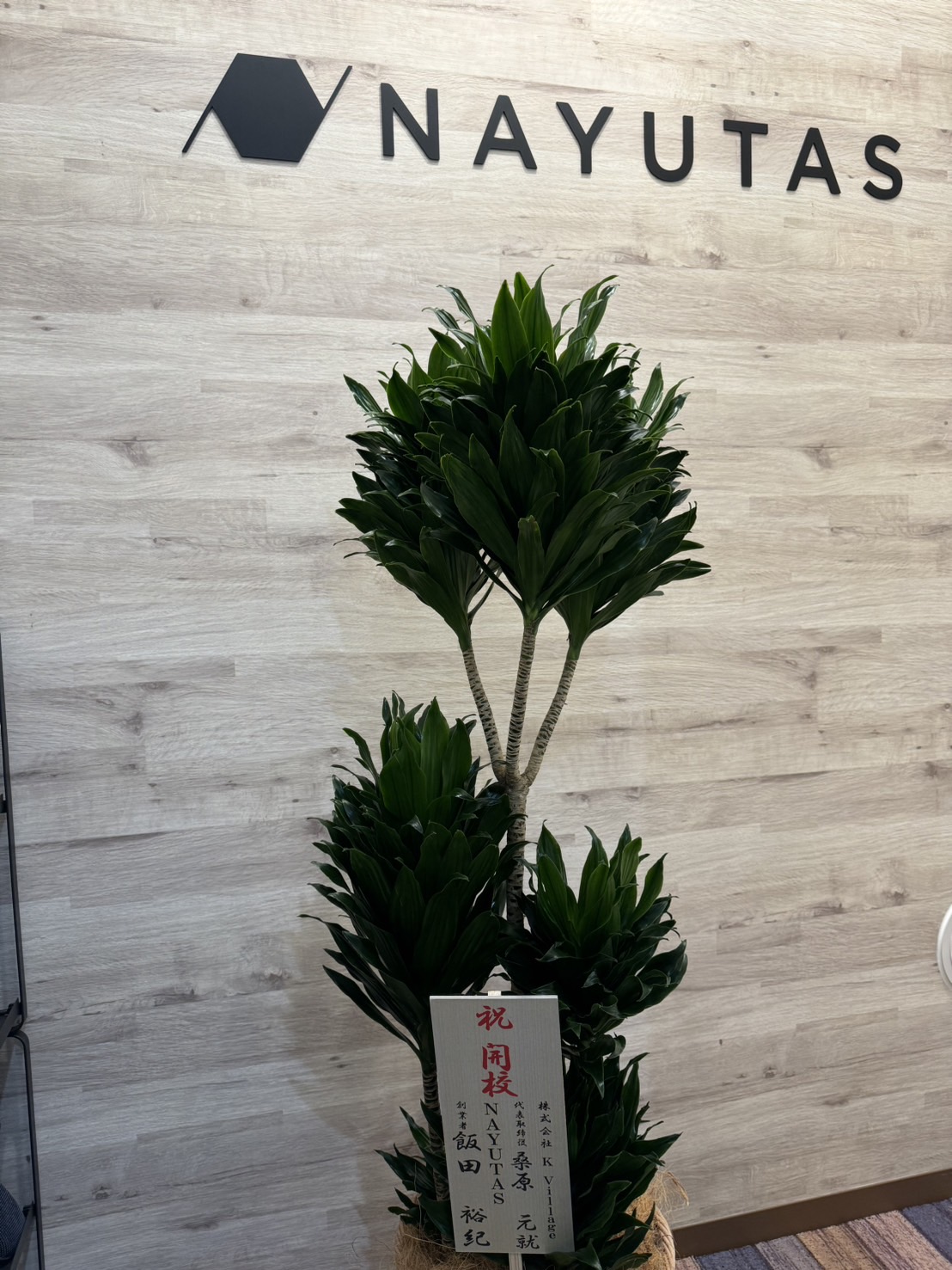 NAYUTAS本八幡校に開業祝いの観葉植物が届きました(^^)/