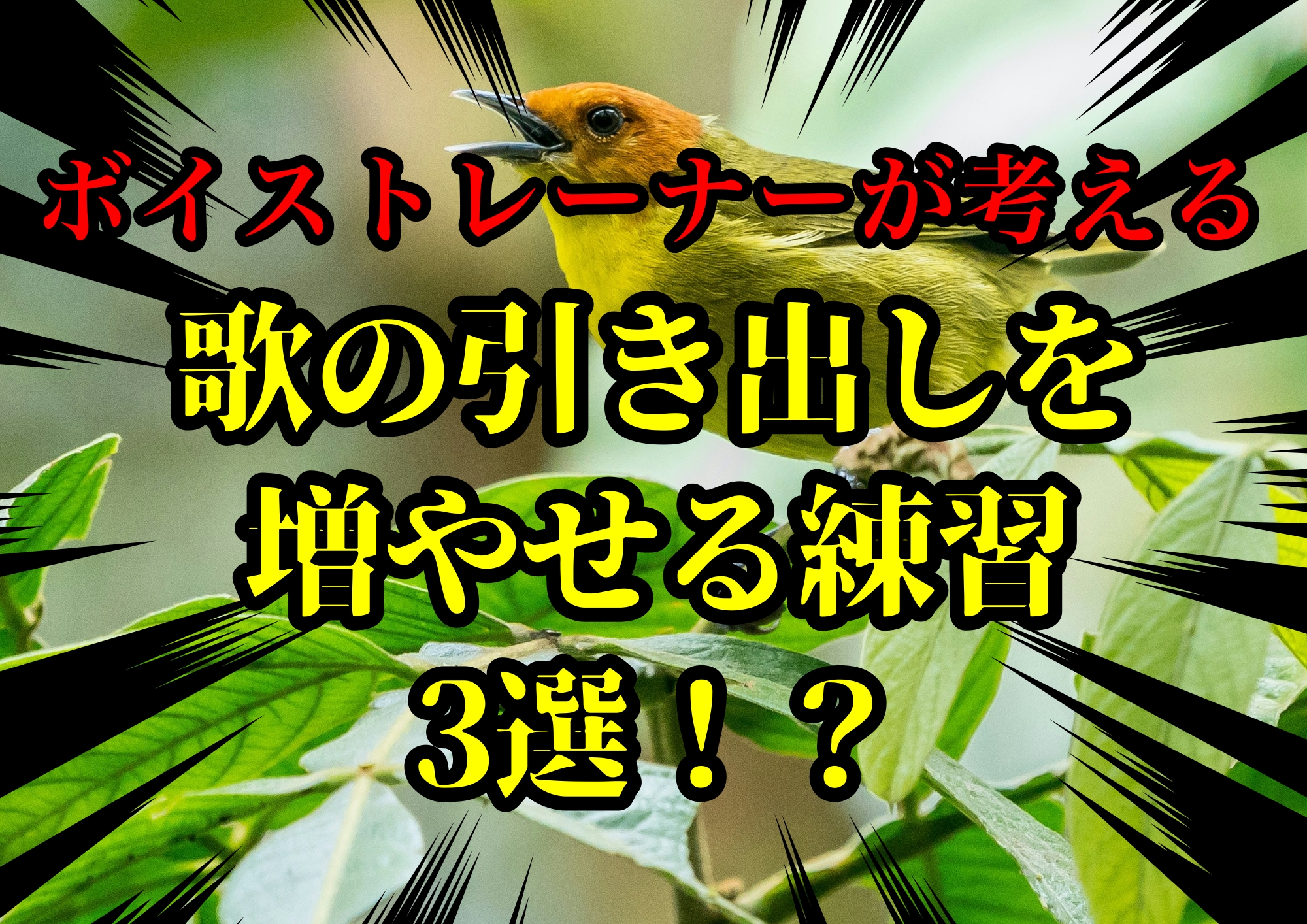 ボイストレーナーゆってぃ☆が考える歌の引き出しを増やせる練習3選！？🎧NAYUTAS渋谷校🎧