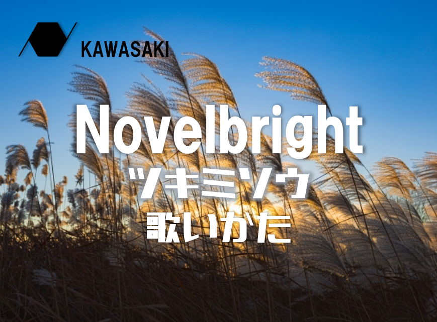 秋に聴きたくなる名曲Novelbrightの「ツキミソウ」の歌い方解説♪ナユタス川崎校