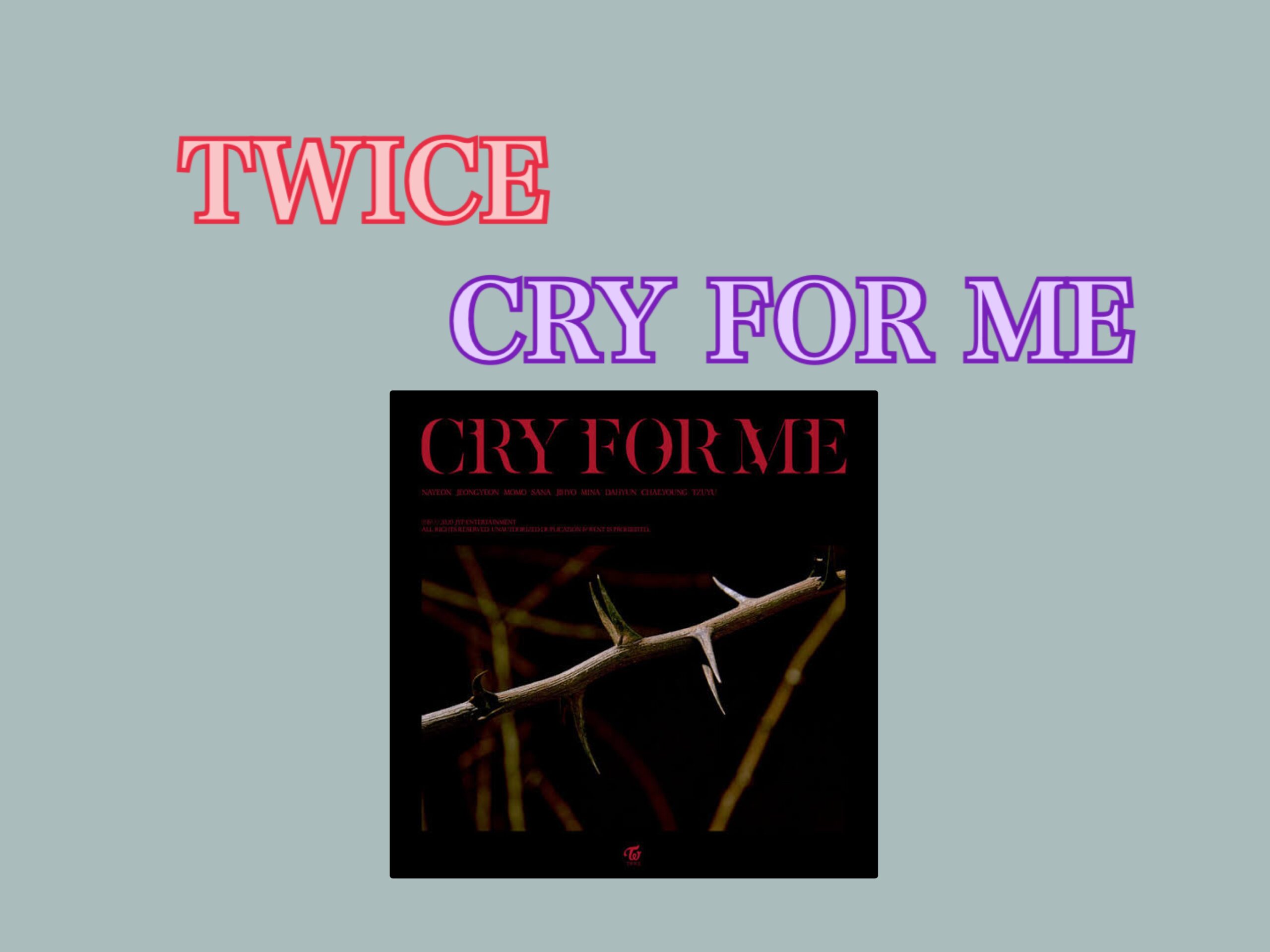 【NAYUTAS経堂校】TWICE🍷Cry for me