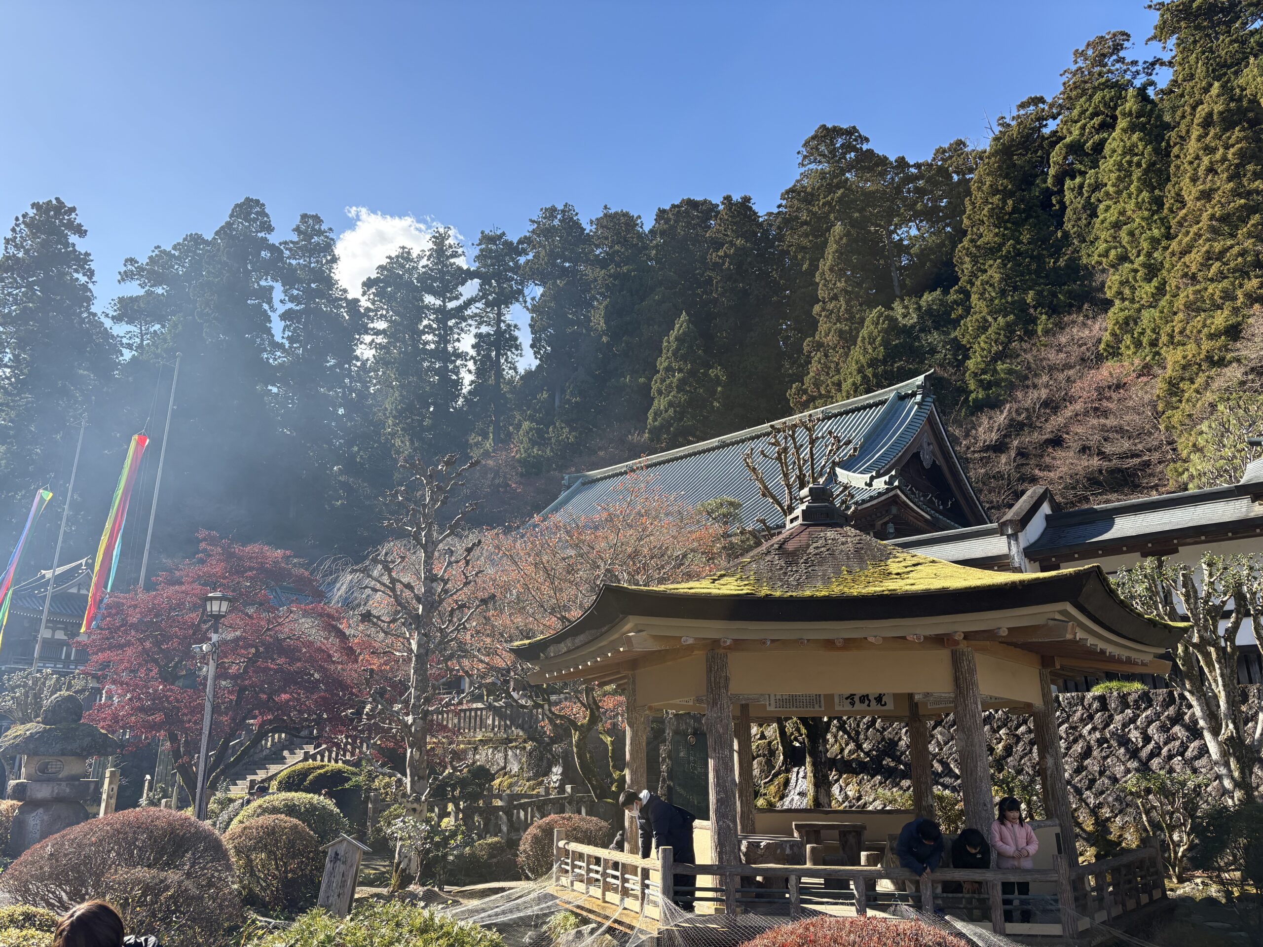 新年明けましておめでとうございます🐍