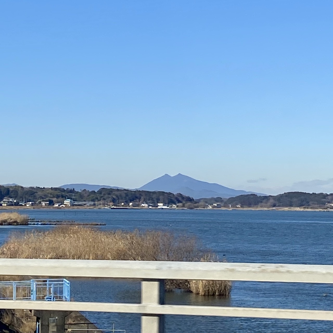 好きなことで、運動不足解消を！