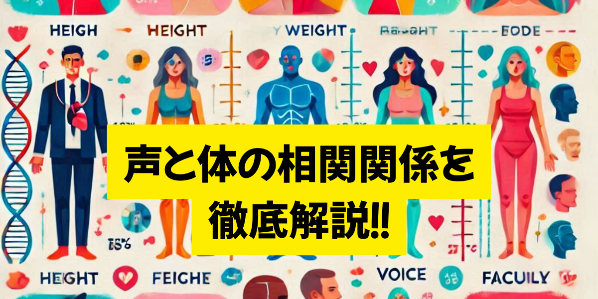 声と体の相関関係を徹底解説！