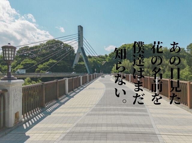 アニメ「あの日見た花の名前を僕たちはまだ知らない」～ボイトレ・ダンス・ギター無料体験受付中　ナユタス府中校