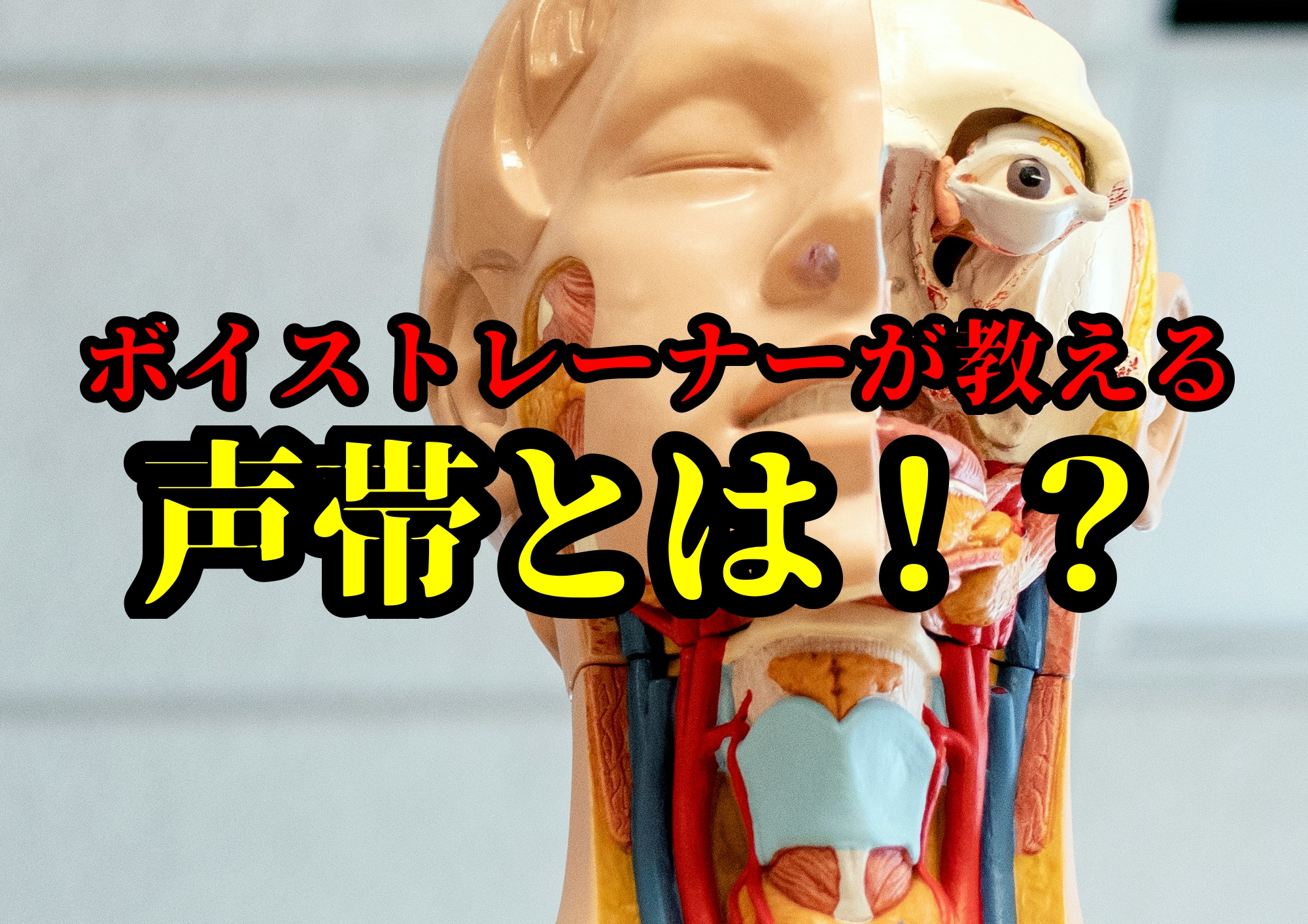 ボイストレーナーが教える声帯とは？？🎧NAYUTAS渋谷校🎧