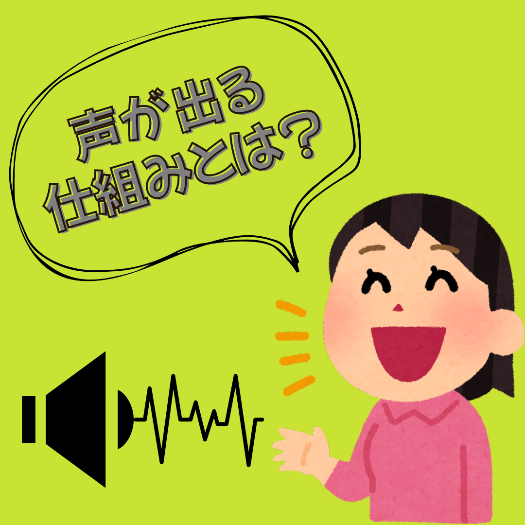 声が出る仕組みとは？