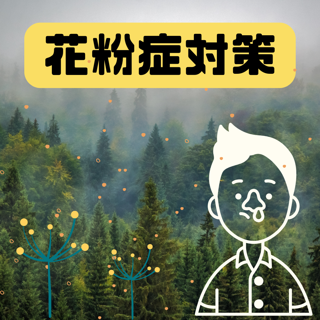 花粉症対策🤧