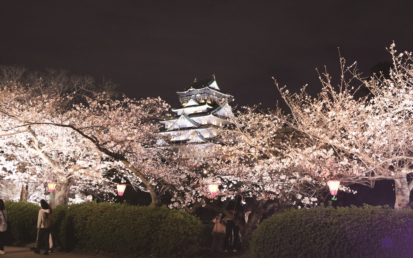 大阪城春祭り4月13日まで開催🌸【NAYUTAS大阪京橋校】
