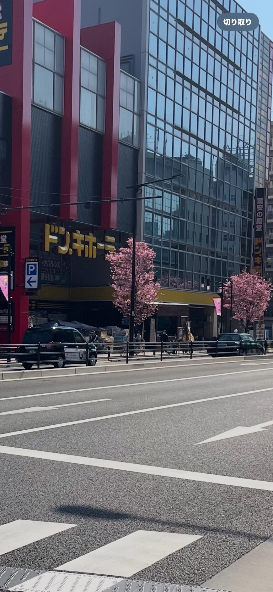 しかしドンキの桜は🌸早いね。