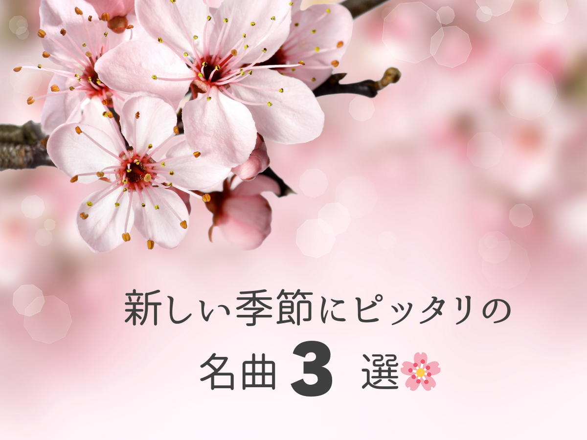 【春を感じる曲特集】新しい季節にぴったりの名曲3選🌸｜NAYUTAS大和校