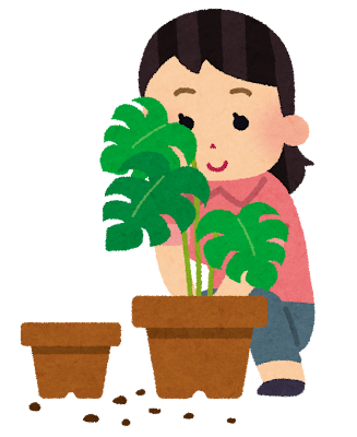 観葉植物とボイトレ【NAYUTAS大阪京橋校】