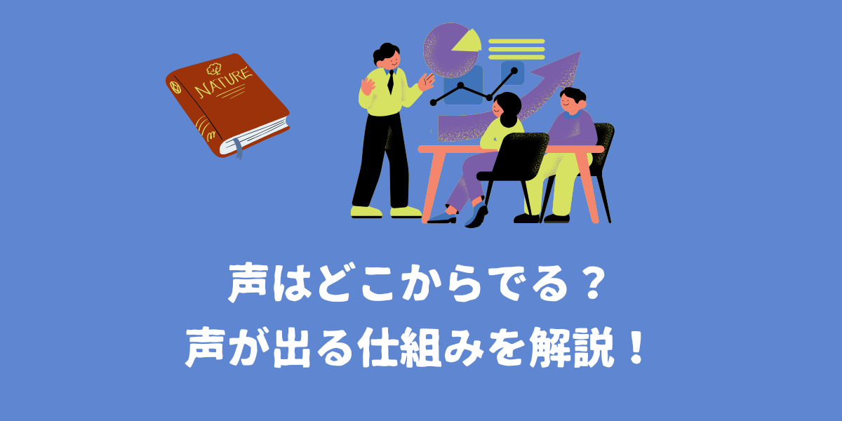 声はどこからでる？声が出る仕組みをプロが解説！【仙台ボイトレ】NAYUTAS（ナユタス）仙台駅前校