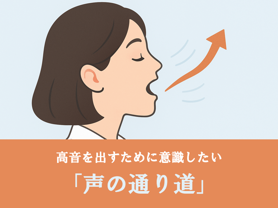 【ボイトレ初心者必見】声の通り道をイメージして高音をラクに出そう！