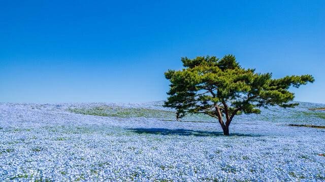 NAYUTAS水戸校　となりまち探索！　Part２　ひたちなか市編