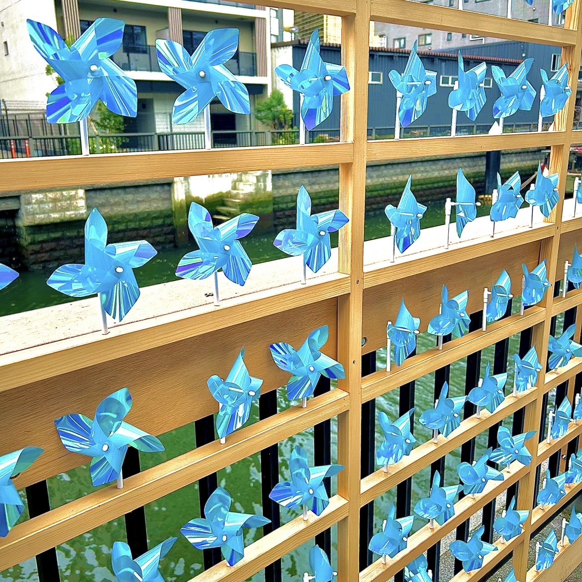 夏を元気に過ごす方法5選🍉