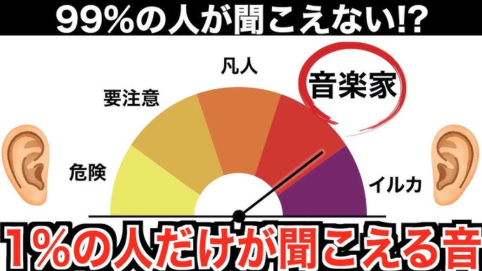 加齢に伴う聴力の低下の原因および予防法｜ナユタス 豊中校