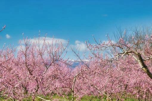 NAYUTAS水戸校 となりまち探索! Part10 古河市編