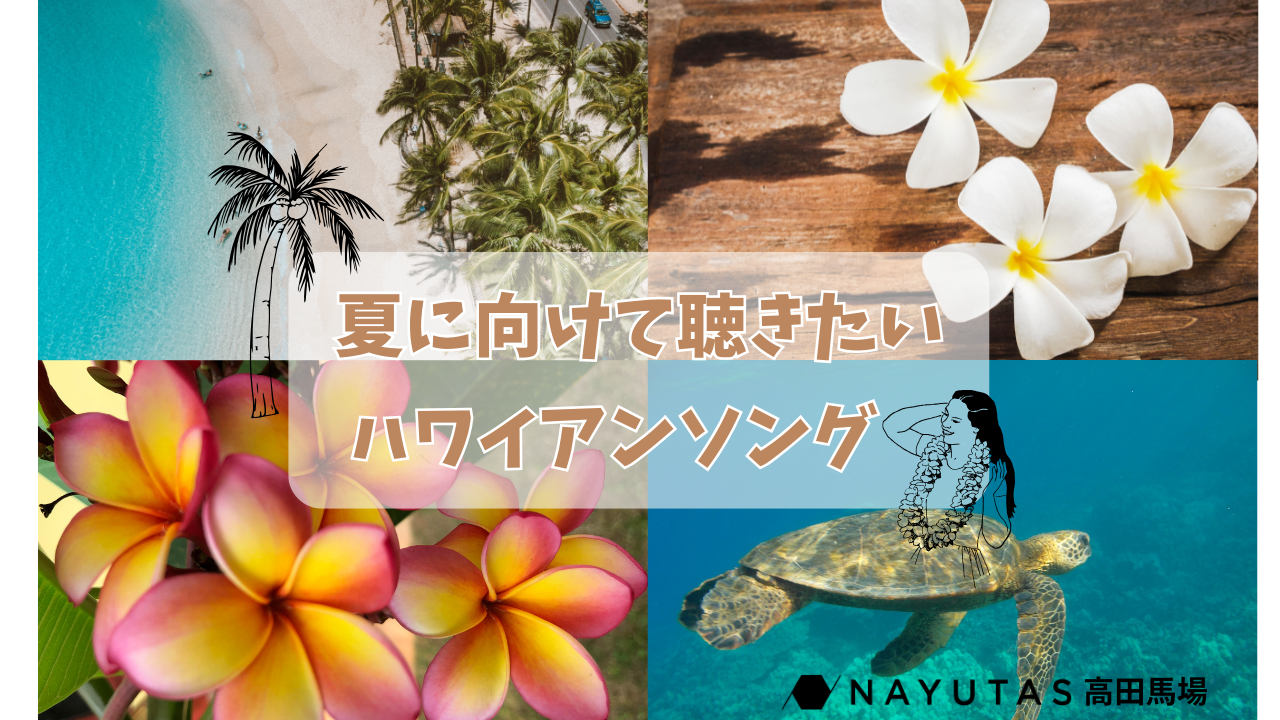 🌺夏に聴きたい癒しの音楽♪ハワイアンソングの魅力 /ナユタス川崎校