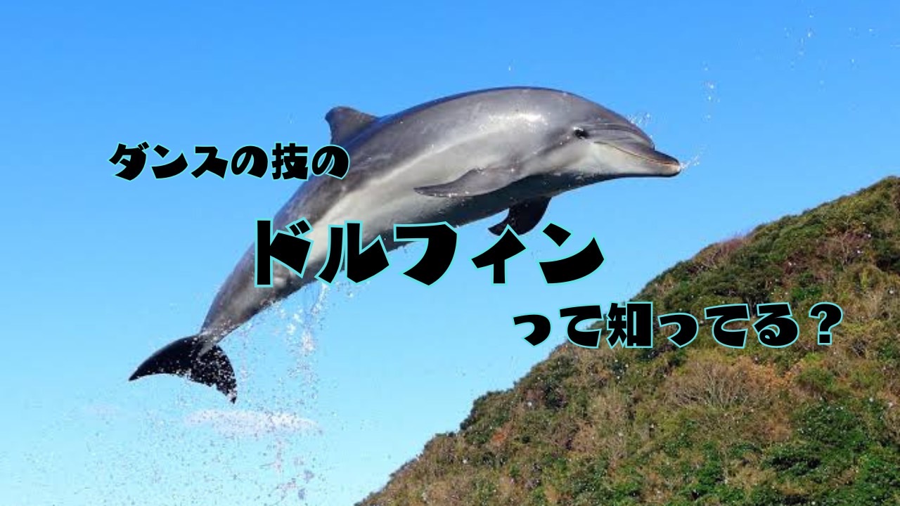 ドルフィン🐬って言う技知ってる？