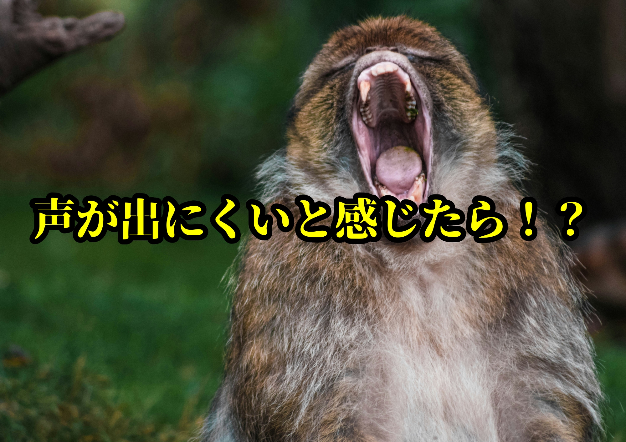 声が出にくいと感じたら！？🎧NAYUTAS渋谷校🎧