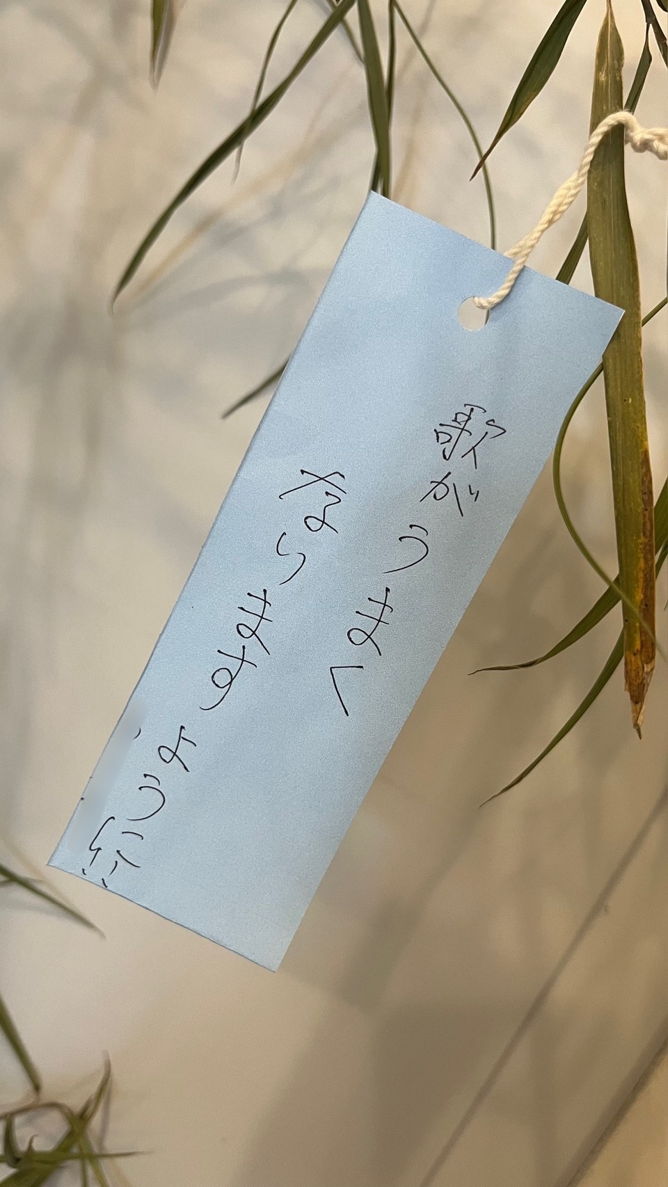 夏休みの無料体験レッスン受付中!🌻