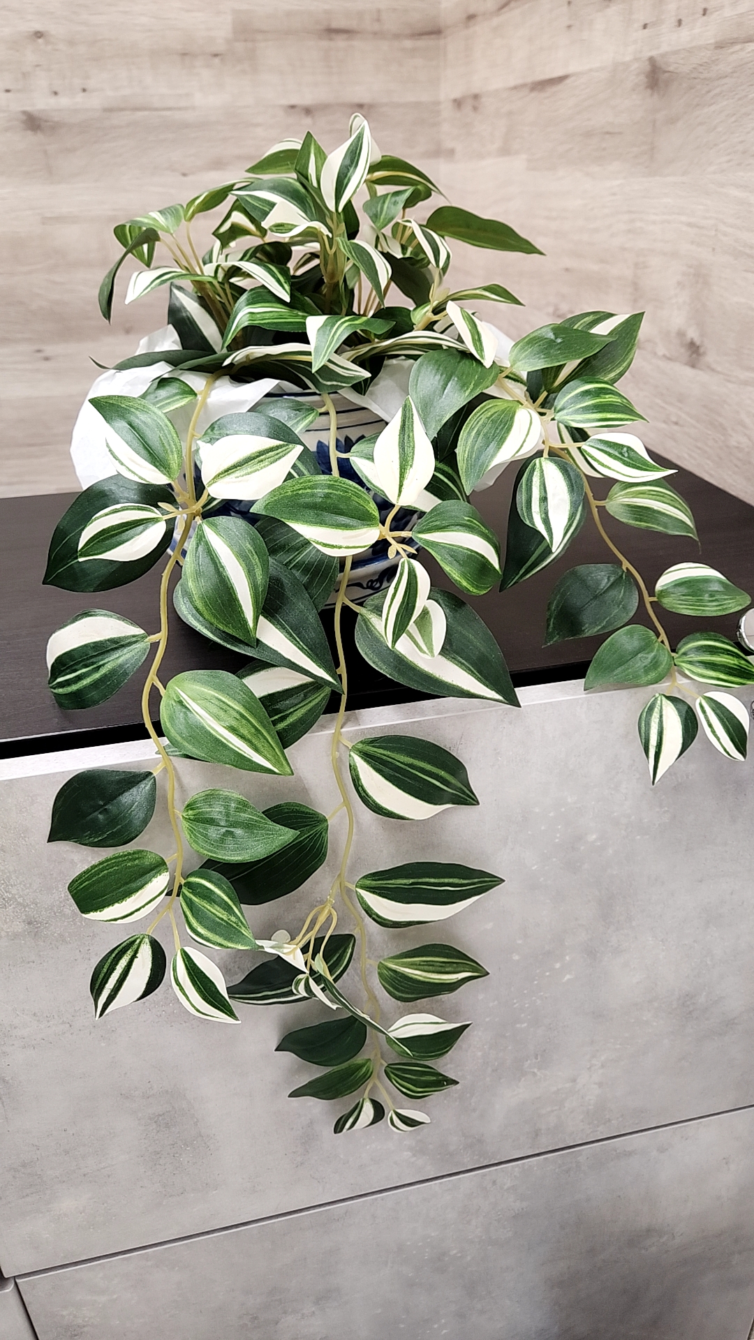 緑の大切さ🪴【NAYUTAS大阪京橋校】