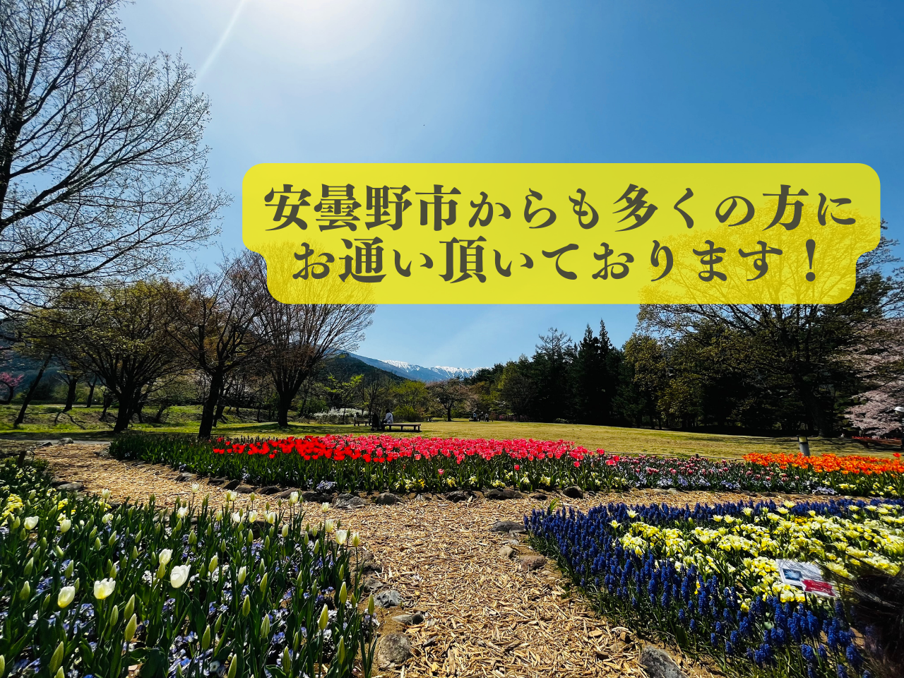 安曇野市在住の方必見～音楽スクールをお探しならNAYUTAS松本校へ！