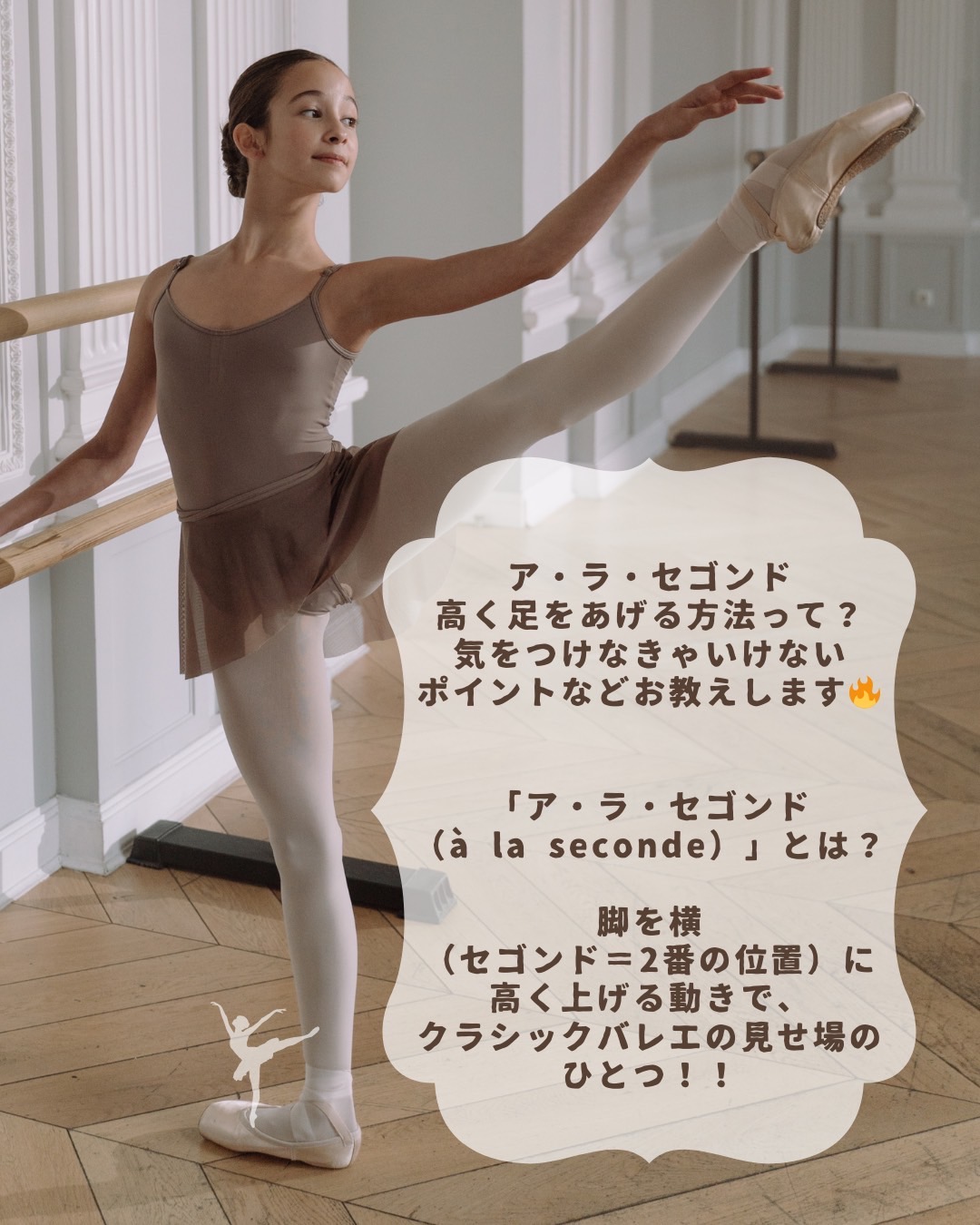 アラセゴンドって知ってる🩰？