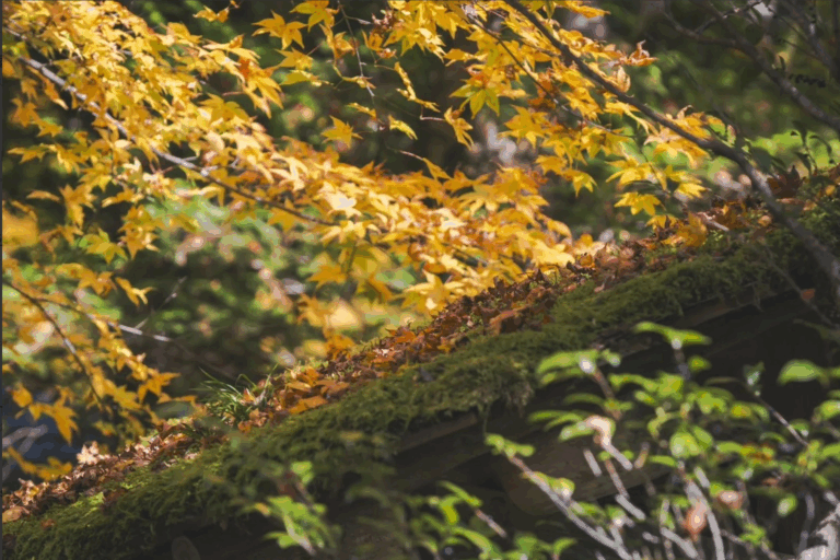 【新学期スタート！】ダンスで心も体もリフレッシュ！