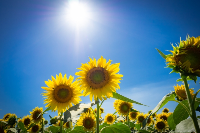心と体のリフレッシュにダンスを踊ろう✨-ナユタス池袋校-