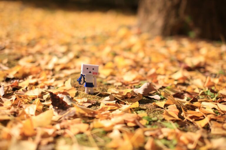 10月といえば何をイメージしますか？🍁