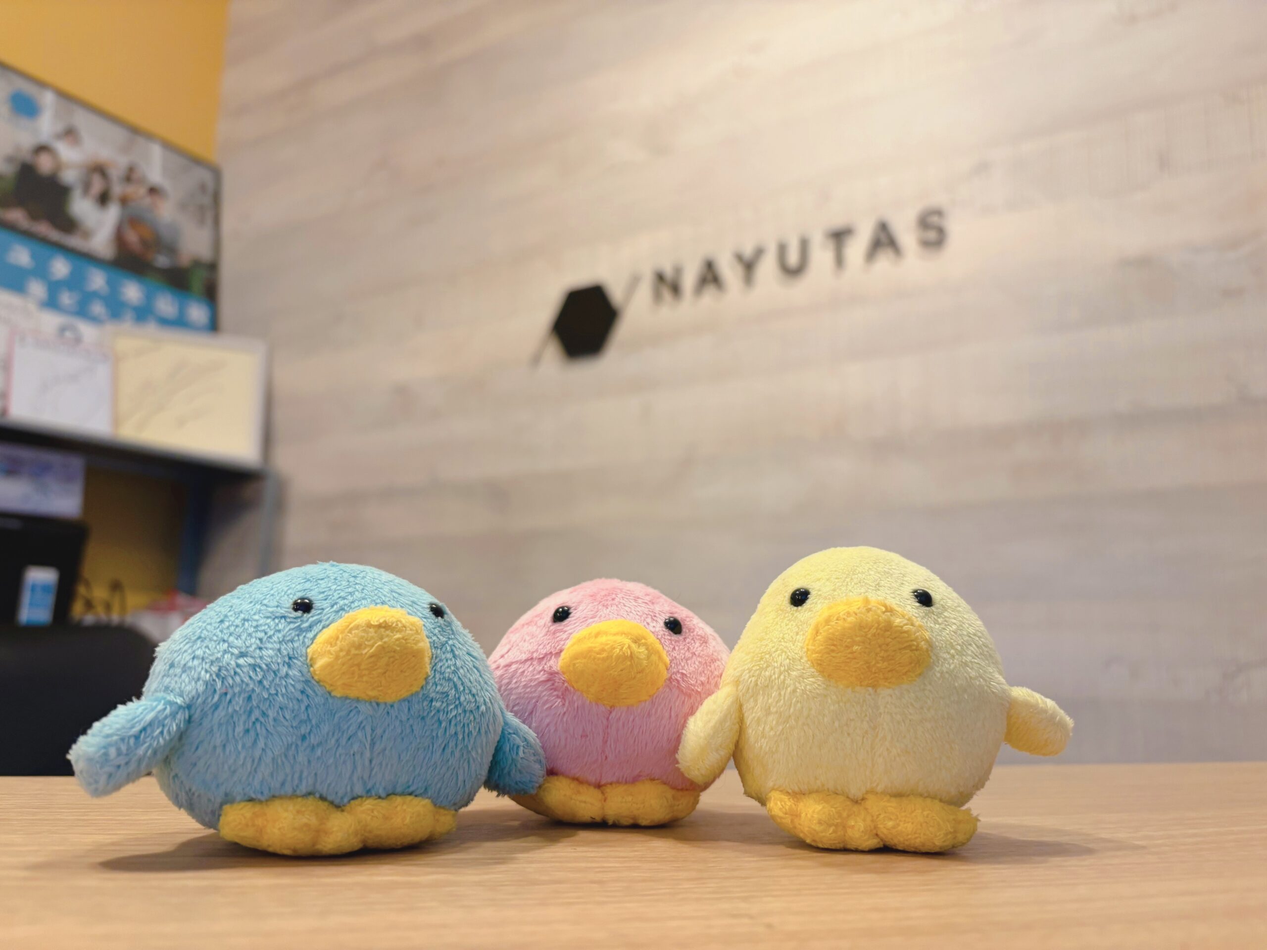 「ぴよか」が本山校に来てくれました‼️〜NAYUTAS本山校〜